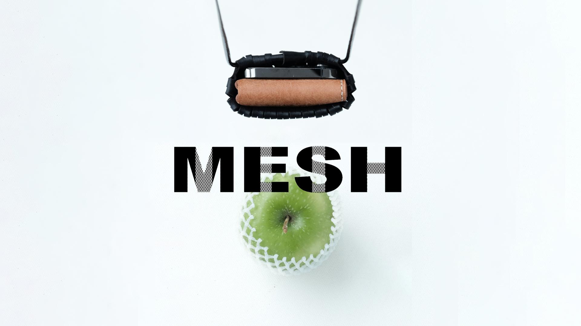 mesh